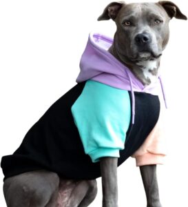 dog sweater