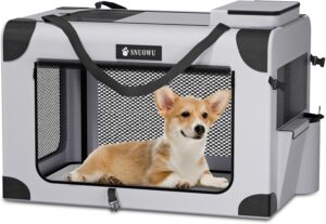 dog home