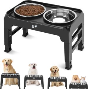 dog feeder