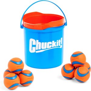 dog toys
