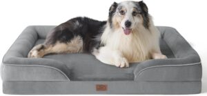 dog bed