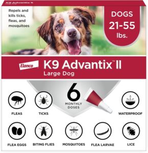 dog flea protection