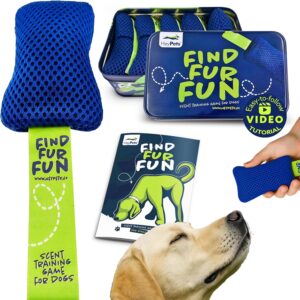 dog toy